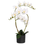 Pianta di Orchidea Artificiale con Vaso Bianco 45 x 15 x 65 cm