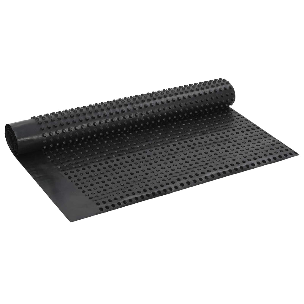 Foglio di drenaggio stampato Nero 1 x 10 m HDPE